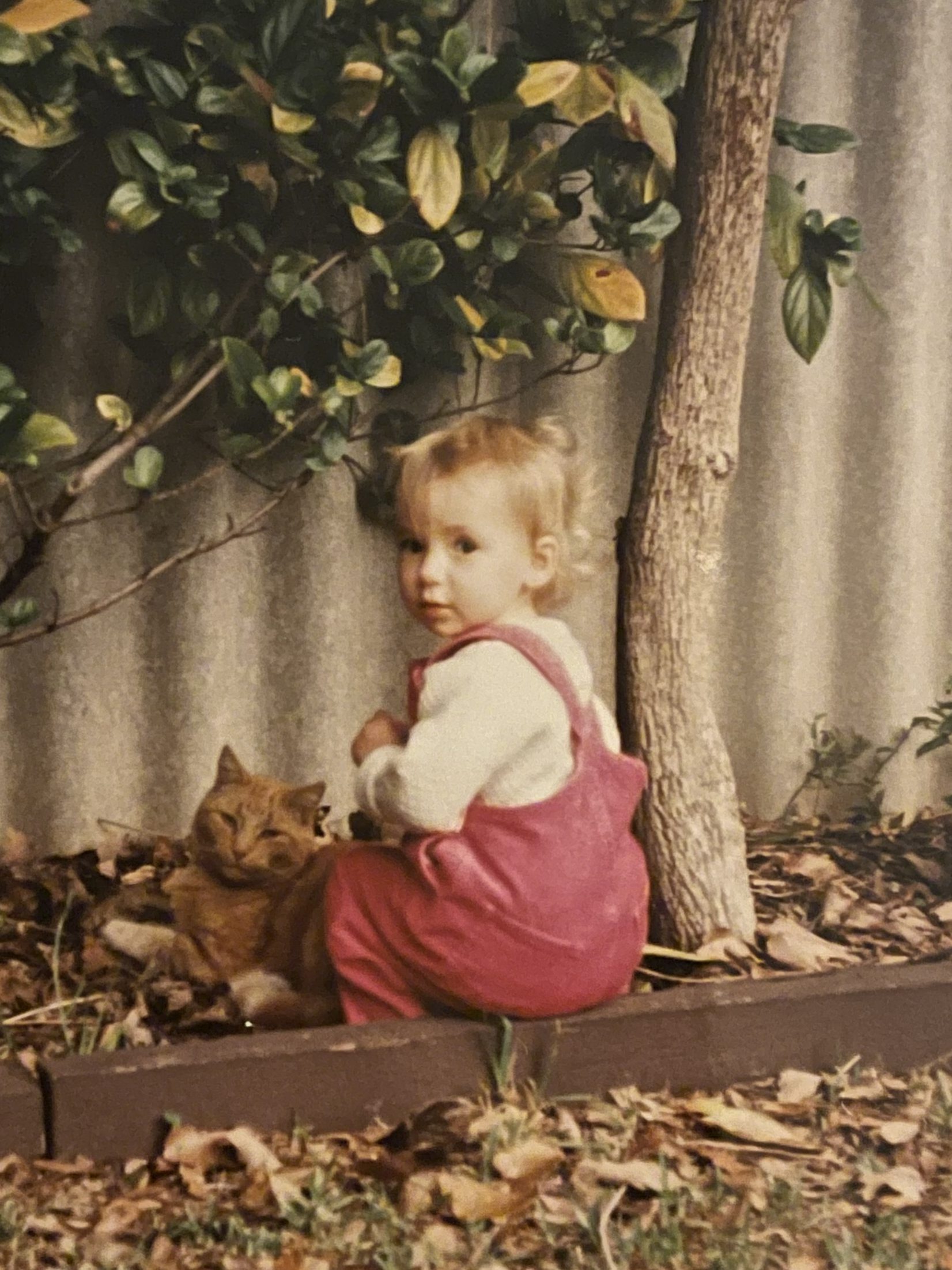 On a rediscovery of self